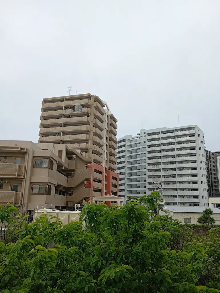 朝の風景3
