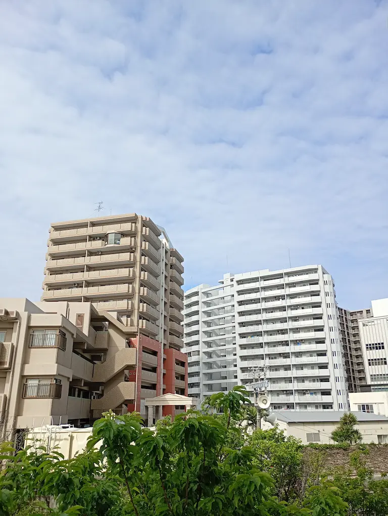 朝の風景3