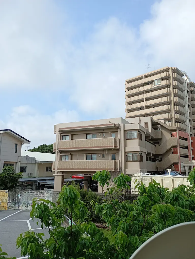 朝の風景3