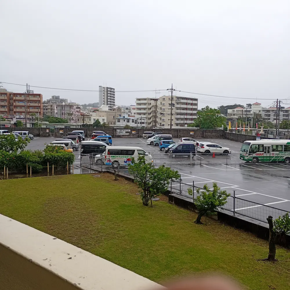 雨の沖縄1