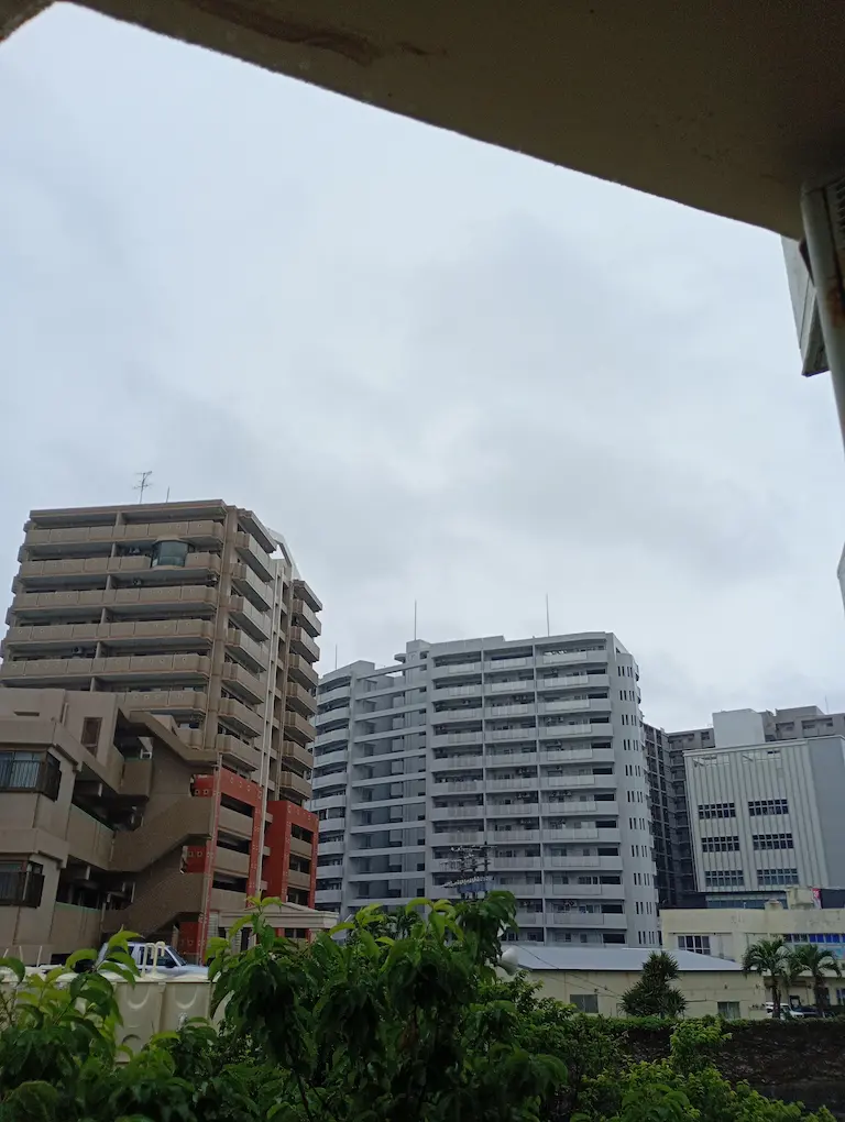 朝の沖縄4