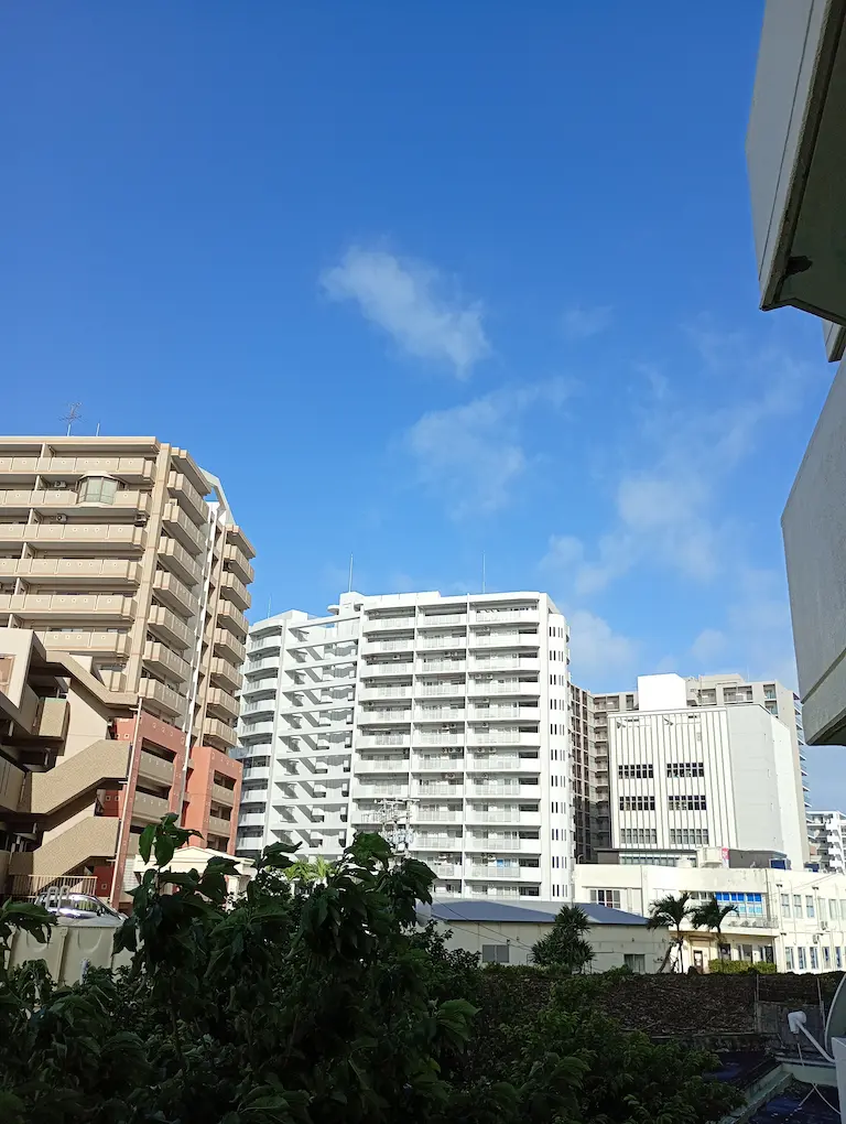 台風が終わった朝3