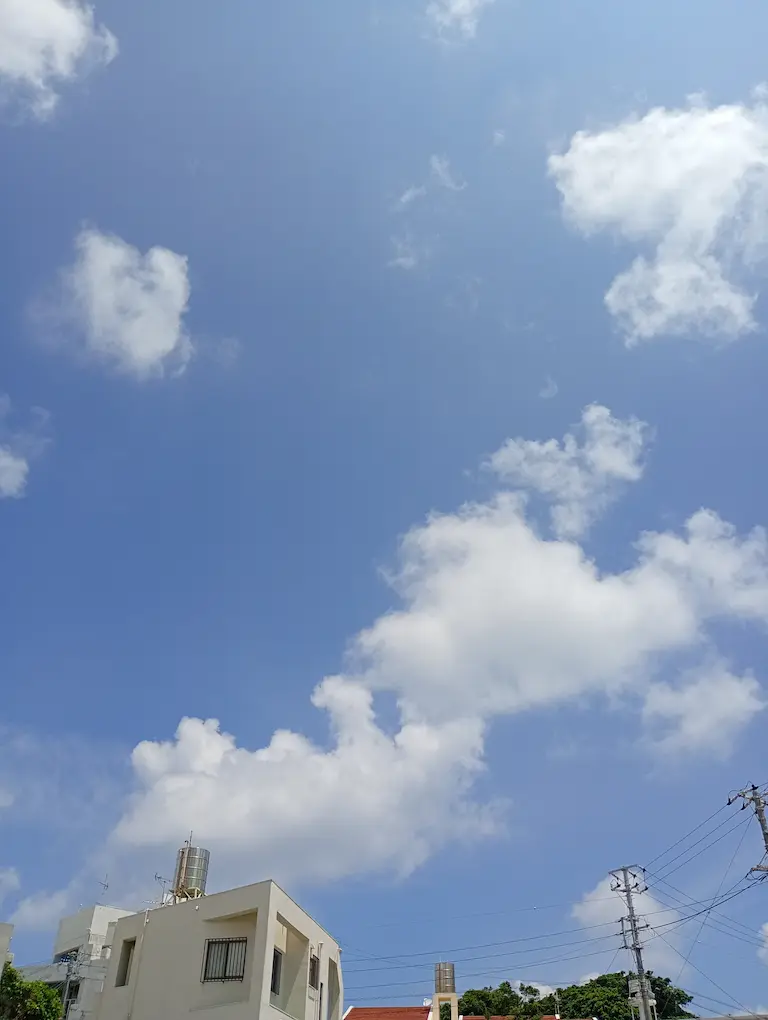 港川の朝1
