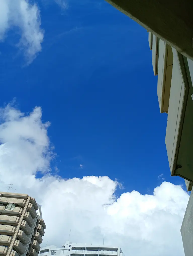 朝の港川の風景4