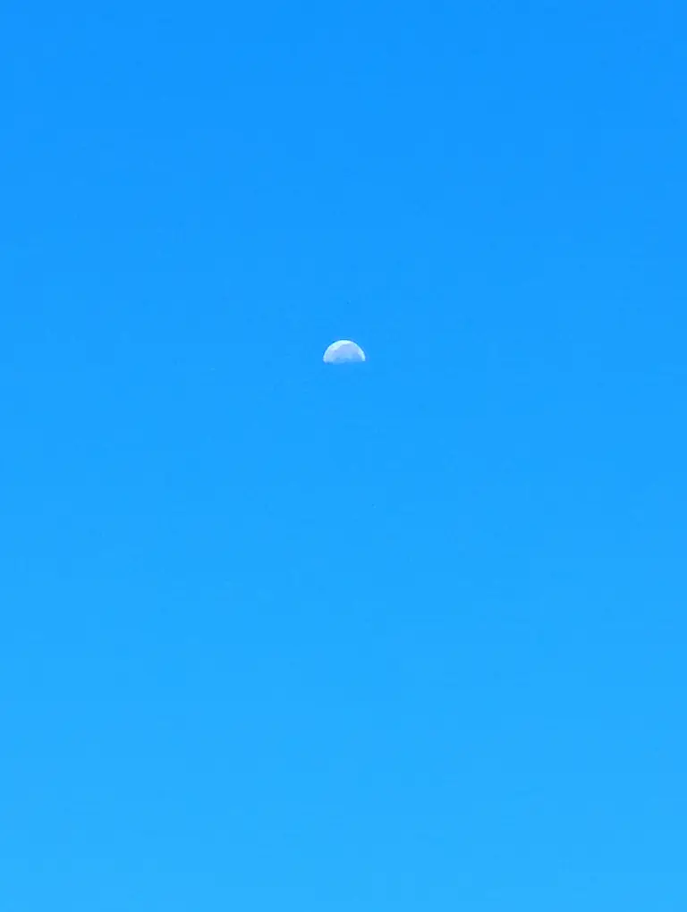 七夕の朝