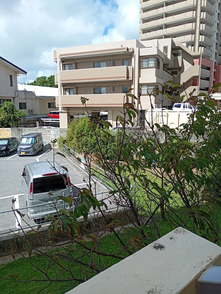 朝の港川の風景2