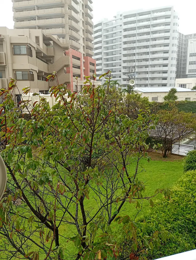 浦添・港川の朝1