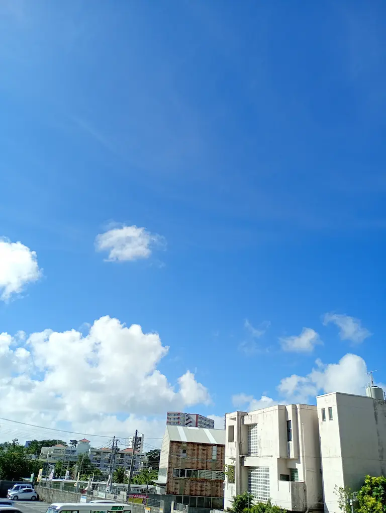 朝の港川2