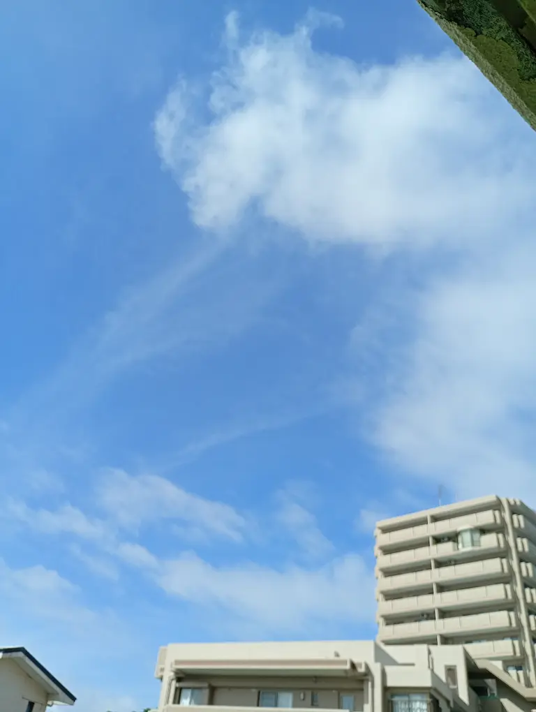 港川の朝3