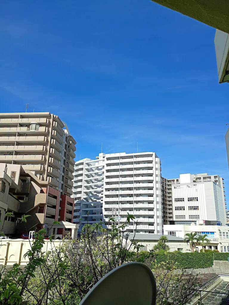 朝の港川3